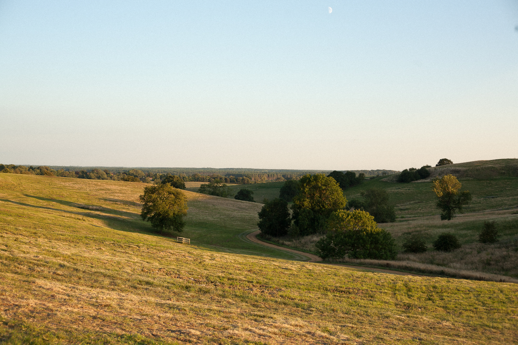 Lincolnshire Wolds at golden hour