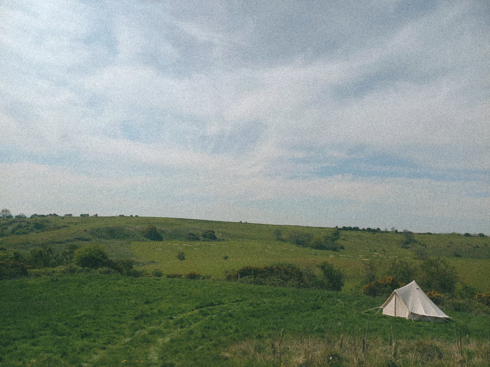 Bell tent in the field